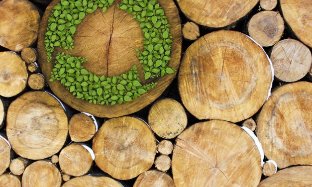 Happy, Healthy, and Green: The Green Building Movement